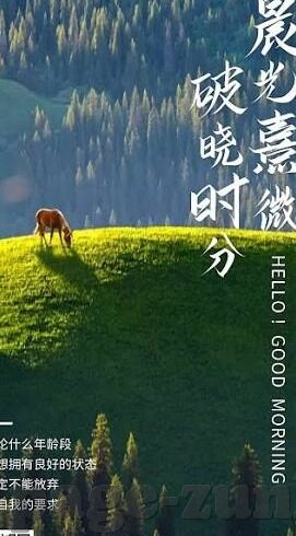 足球彩票买比分-足球彩票买比分，一场智慧与运气的博弈